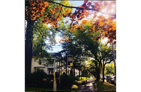 THE COLLEGE OF SAINT ROSE